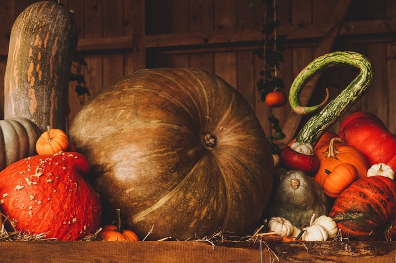 Autumn Harvest Festival Wedding