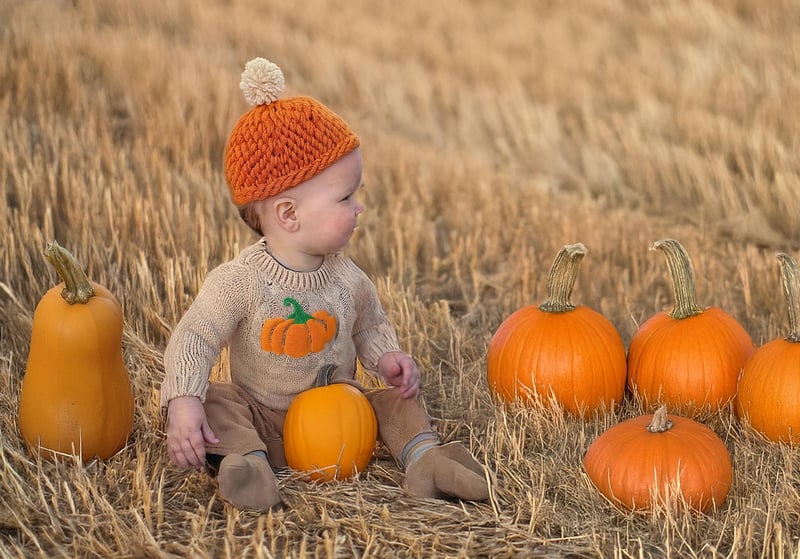 Autumn Harvest Fest